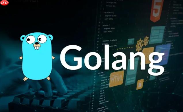 365天，一天一条短视频，戈朗（Golang）程序员的笨办法能走多远？