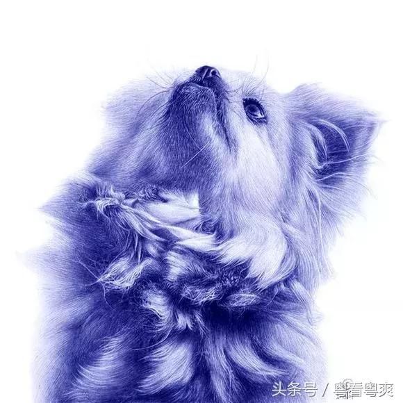 八哥365手绘短视频,用一支笔画出日子的温度 八哥365手绘短视频,用一支笔画出日子的温度