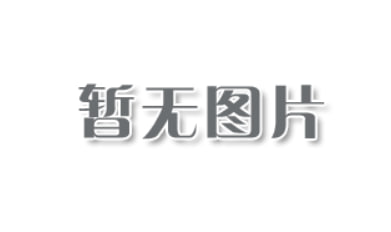 用Go语言，把365天的恋爱剪成一部电影